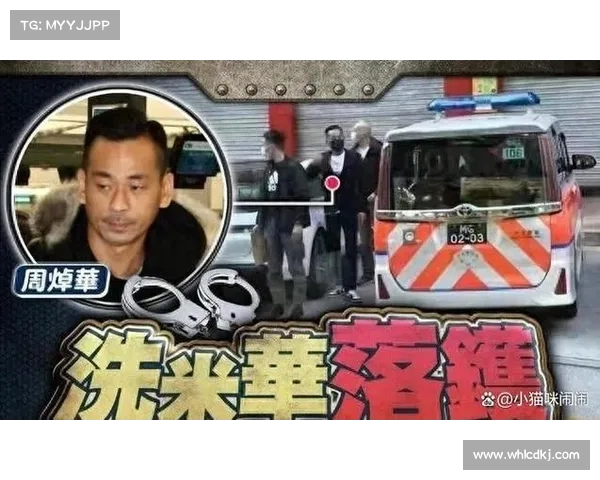 洗米华案件:重罚之下的反思与未来前景分析(洗米华最近的新消息) 洗米华案件:重罚之下的反思与未来前景分析(洗米华最近的新消息)