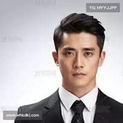 晋翰墨